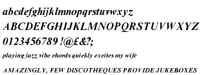 Times New Roman® Pro Bold Italic