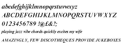 Times New Roman® Pro Medium Italic