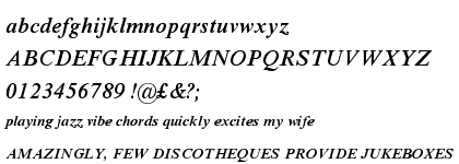 Times New Roman® Pro Semi Bold Italic