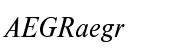 Nimbus Roman Regular Italic (D)