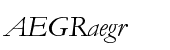 Monotype Garamond&reg; WGL Italic