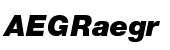 Neue Helvetica&trade; Pro 96 Black Italic