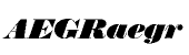 Thorowgood CE Regular Italic (D)
