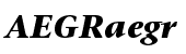 ITC Stone&reg; Serif Pro Bold Italic