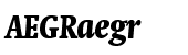 Neue Swift&reg; Pro Condensed Black Italic