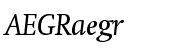 Neue Swift&reg; Pro Italic
