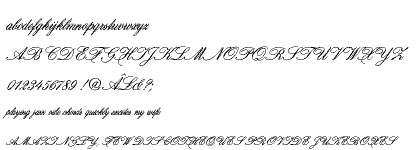 Hogarth Script CE Standard (D)