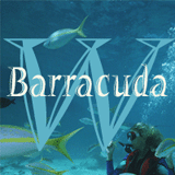 barracuda_160