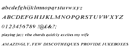 Times New Roman® Small Text Italic