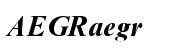 Times New Roman&reg; Pro Bold Italic