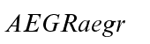 Times New Roman&reg; Pro Italic