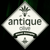 Antique Olive&trade; Family Pack