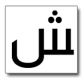 Arabic / Hebrew