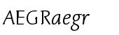 Linotype Syntax&reg; Letter Com Light Italic