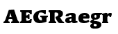Linotype Syntax&reg; Serif Com Black