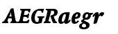 Linotype Syntax&reg; Serif Com Heavy Italic
