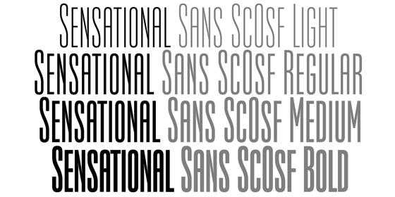 Sensational Sans SC OSF Set