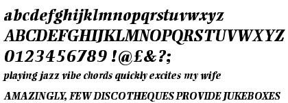 Ellington&trade; Extra Bold Italic