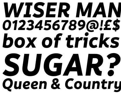 Informative Bold Italic