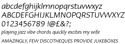 Linotype Ergo&trade; Com Italic