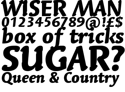 Linotype Syntax&reg; Letter Com Heavy Italic