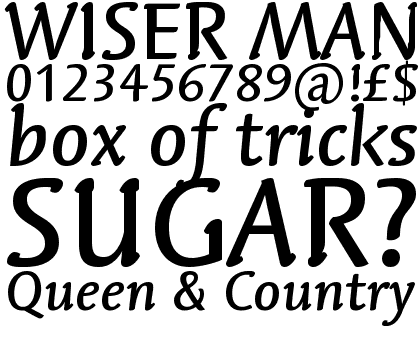 Linotype Syntax&reg; Letter Com Medium Italic