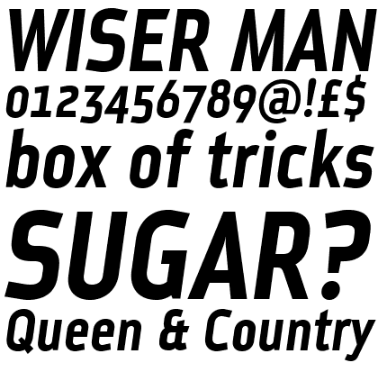 Metroflex 244 Narrow Bold Oblique OSF