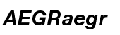 Neue Helvetica&reg; Pro W1G 76 Bold Italic