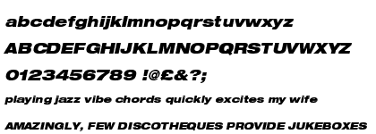 Neue Helvetica&trade; Std 93 Black Extended Oblique