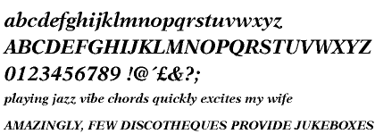 New Aster&trade; Bold Italic