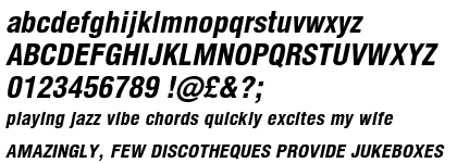 Newhouse DT Condensed ExtraBold Oblique
