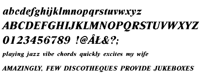 Nimbus Roman CE Extra Bold Italic (D)