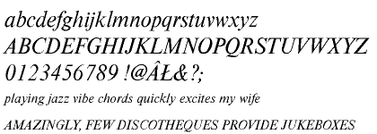 Nimbus Roman CE Regular Italic (D)