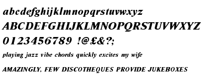 Nimbus Roman Extra Bold Italic (D)