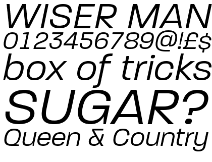 Paralucent Text Book Italic