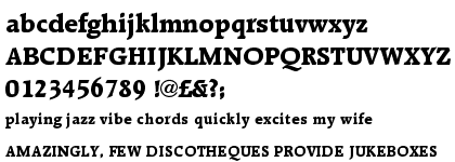 Raleigh Extra Bold (D)