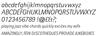 Rotis Sans Serif Std Light Italic