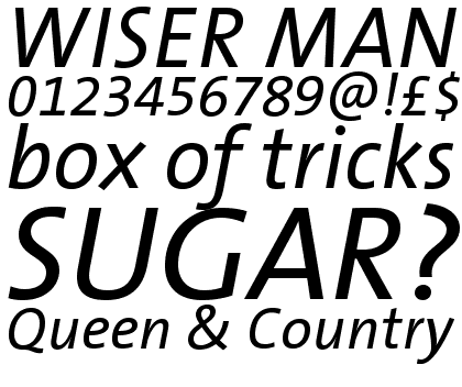 TheSans Plain Italic