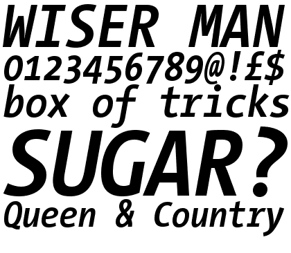 TheSans Mono Condensed Bold Italic