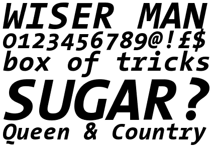 TheSans Mono Office Bold Italic