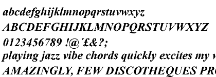 Times New Roman&reg; Bold Italic