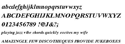 Times&trade; Ten Cyrillic Bold Italic