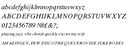 Times&trade; Ten Std Italic